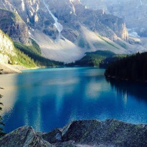 Meet your Posher, Saif